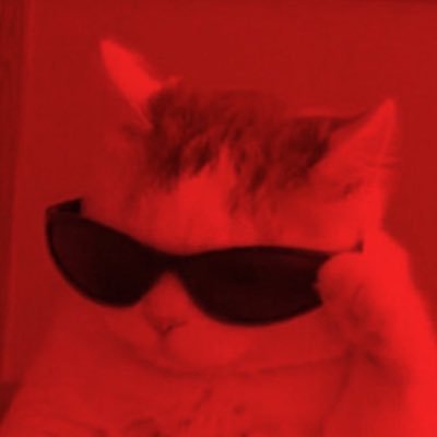 nindi's profile picture