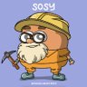 🇲🇪 SatSosy - Noderunner, Miner and Libertarian 的头像