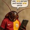 Фото профиля Hasan Aqtepe Regen