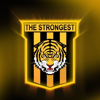 Club The Strongest's profile picture