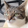 Pixel's profile picture