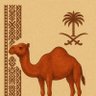بوسيف 的头像