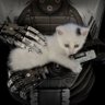 R J's profile picture