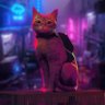 Mini🐈 profil fotoğrafı