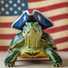 Round Turtle's profile picture