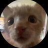 ria profil fotoğrafı