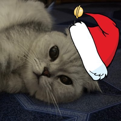aoraorvhvvhv's profile picture