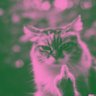 Klandestin's profile picture