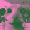 Фото профиля Meongs&Roses