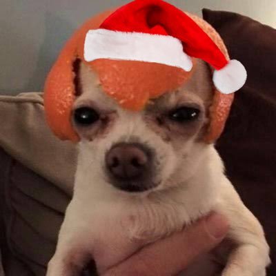 annjs_myprince's profile picture