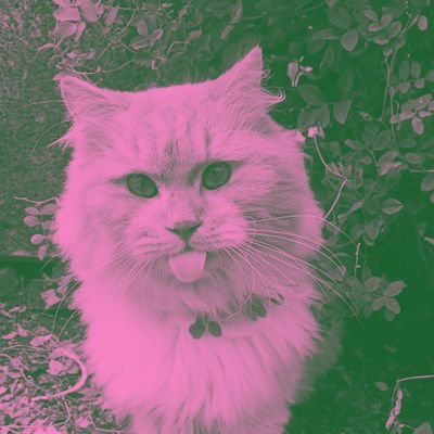 Paduka zio's profile picture