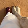 Abdulaziz's profile picture