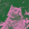 Profilbild von puty
