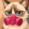 Profilbild von Elon Murz | SVP of Meme Engineering