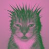 MAS's profile picture