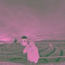 cia's profile picture