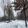 Фото профиля NUIIII🐻🐼