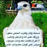 سعود's profile picture
