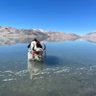 王云波 profil fotoğrafı