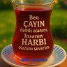 @Ahmetbey1453🇹🇷 的头像