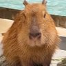 Profilbild von laichunman456@gmail.com