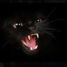 Constantinipple's profile picture