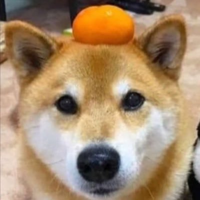롬☺︎'s profile picture