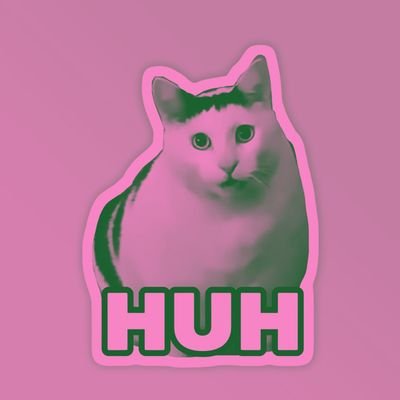 meong meong's profile picture