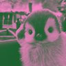Vertebrata 🐱🪽's profile picture
