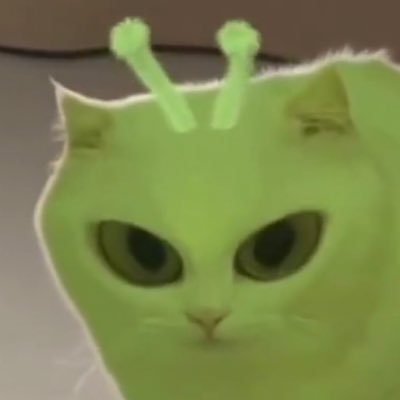litlitlis's profile picture