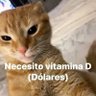Nat's profile picture