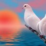 الريف... 🌷🌷🌹 的头像