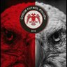 Profilbild von ROBİNHOOD19