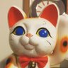 ペガ 小麦を断つと花粉症が劇的に治るの知ってほしい profil fotoğrafı