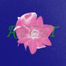 Profilbild von mb bluess ๐ท๏ธ๐๏ธ