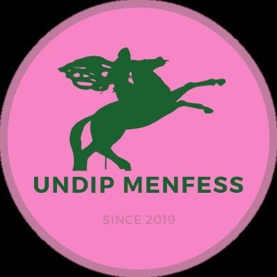 UNDIPMENFESS's profile picture