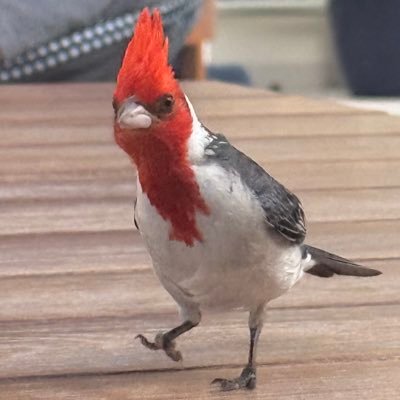 齋藤陽's profile picture