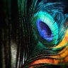 Profilbild von Come On โ๏ธ