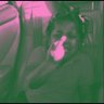 rest ur mind's profile picture