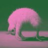 eMka's profile picture