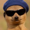 rakgadi wa bana🤭's profile picture