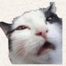 Profilbild von Claudio