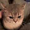 (slow) เนเธเธฎเธธเธเธเธตเธเธธเธเธดเธง โกฬ (My whole World)'s profile picture