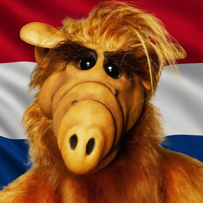 hetvaltnietmee's profile picture