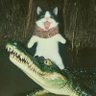 Profilbild von M.