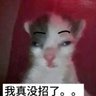 金xxx的小号 profil fotoğrafı