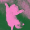 Profilbild von lele