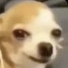 @jayjay's profile picture