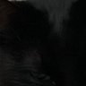 gfghjfhgfjh's profile picture