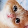 Profilbild von Burcu